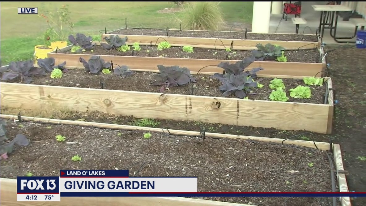Giving Garden
